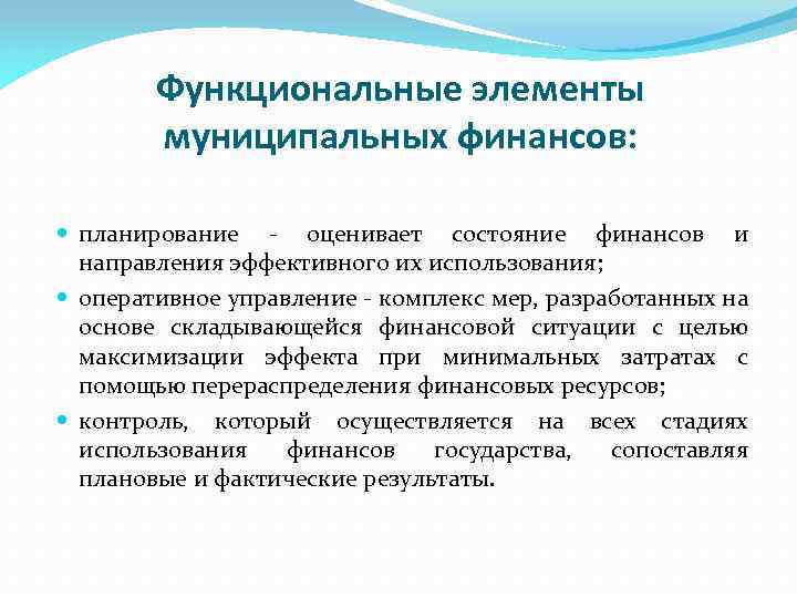 Функциональные элементы муниципальных финансов: планирование - оценивает состояние финансов и направления эффективного их использования;