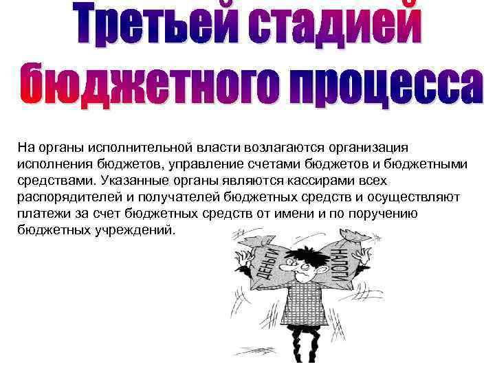 На органы исполнительной власти возлагаются организация исполнения бюджетов, управление счетами бюджетов и бюджетными средствами.