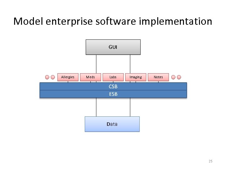 Model enterprise software implementation GUI Allergies Meds Labs Imaging Notes Data 25 