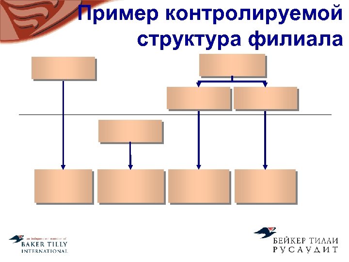 Пример контролируемой структура филиала 