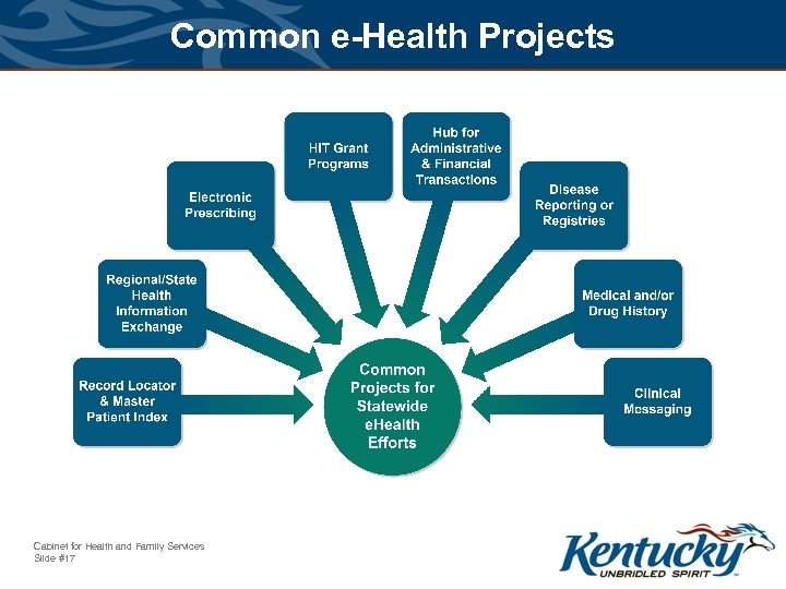Common e-Health Projects Cabinet for Health and Family Services Slide #17 