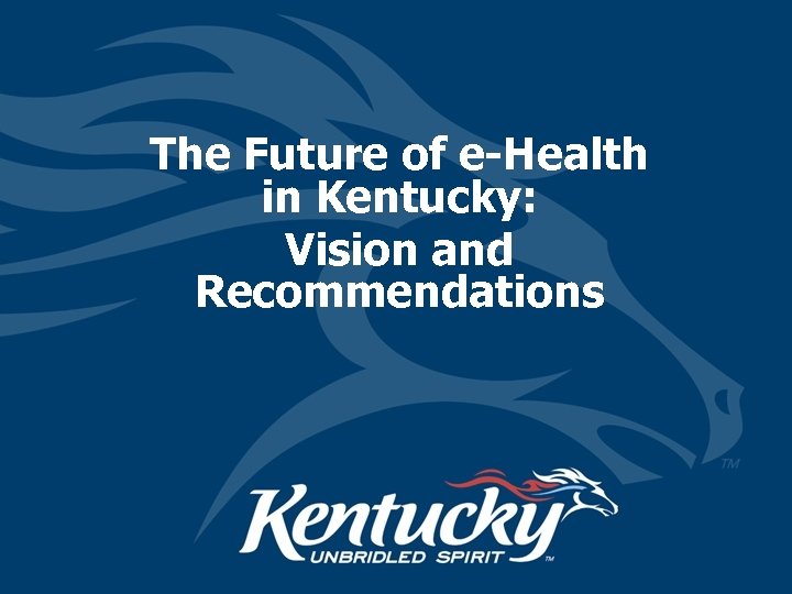 The Future of e-Health in Kentucky: Vision and Recommendations 