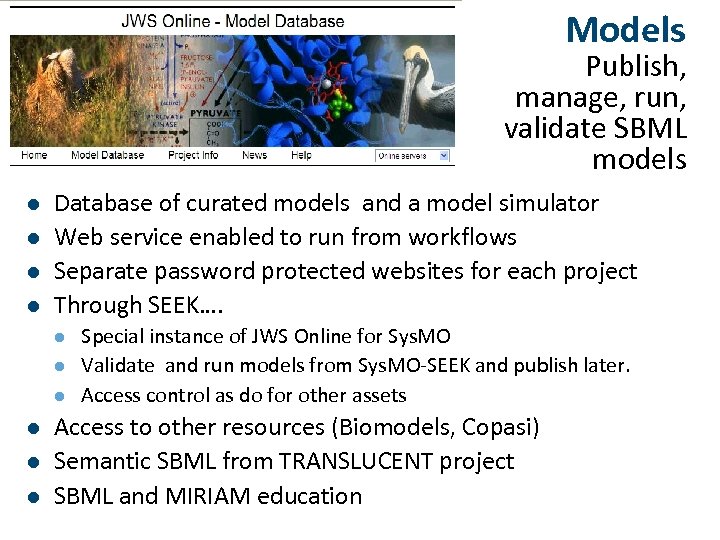 Models Publish, manage, run, validate SBML models l l Database of curated models and