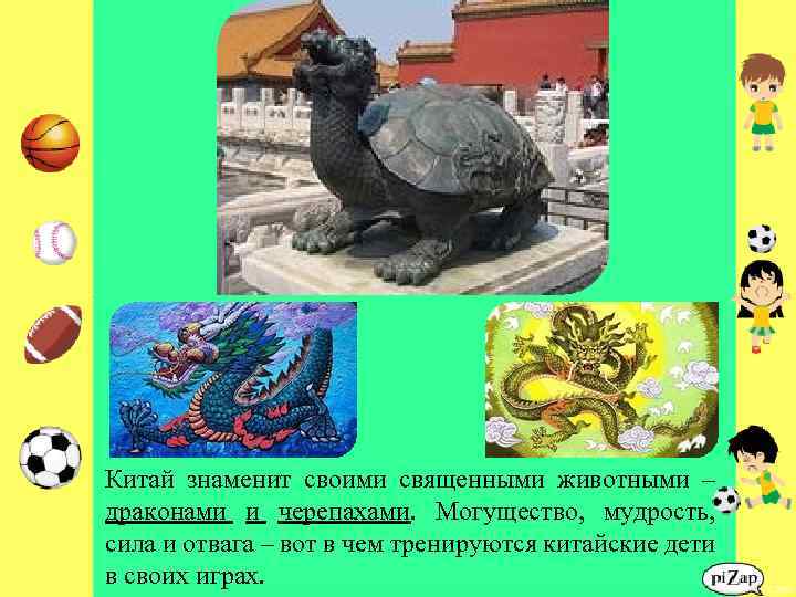 Китай знаменит своими священными животными – драконами и черепахами. Могущество, мудрость, сила и отвага