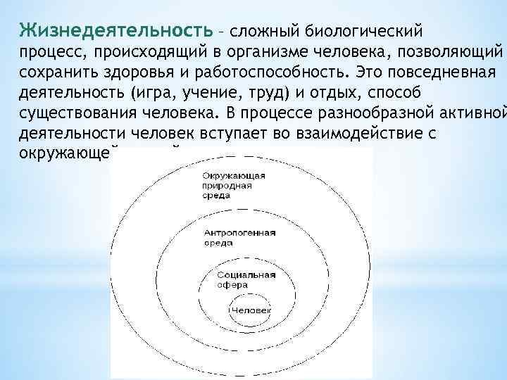 Жизнедеятельность – сложный биологический процесс, происходящий в организме человека, позволяющий сохранить здоровья и работоспособность.