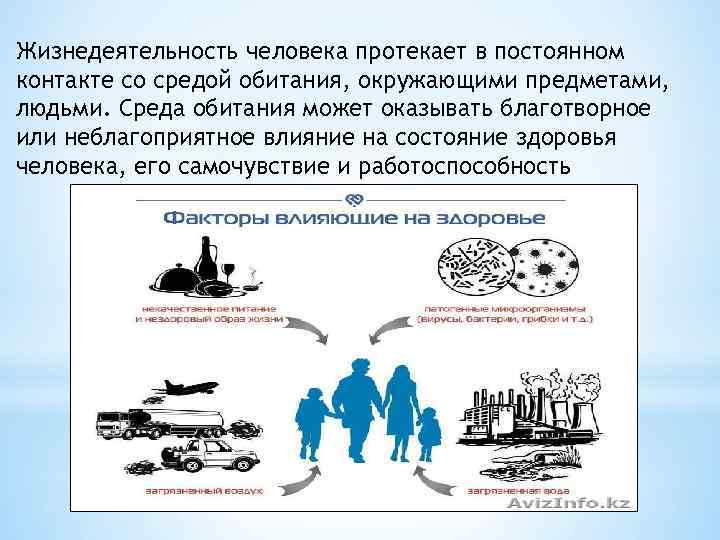 Жизнедеятельность человека протекает в постоянном контакте со средой обитания, окружающими предметами, людьми. Среда обитания