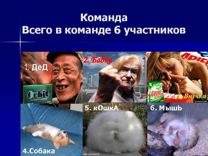 Команда Всего в команде 6 участников 1. Де. Д 2. Бабка 3. 5. к.