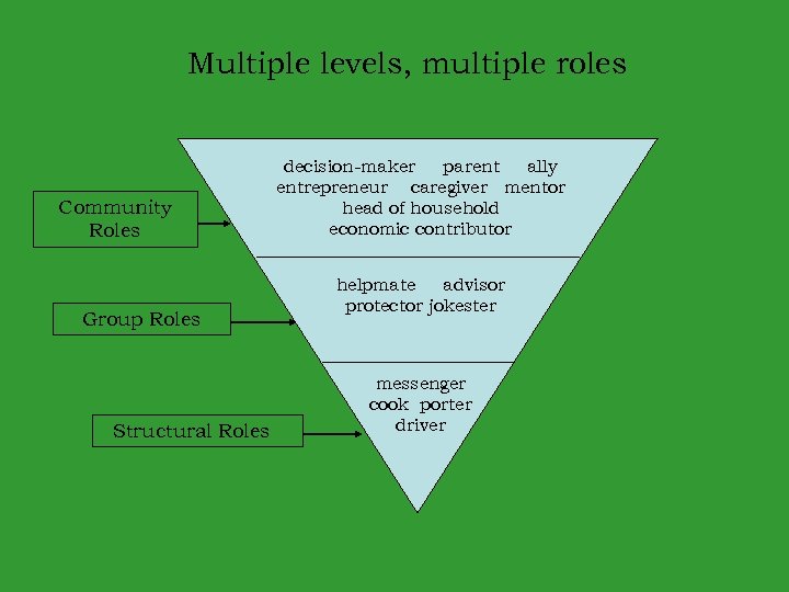 Multiple levels, multiple roles Community Roles Group Roles Structural Roles decision-maker parent ally entrepreneur