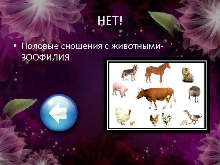 НЕТ! • Половые сношения с животными- ЗООФИЛИЯ 