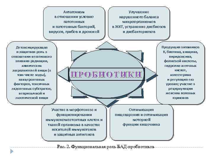 Антагонизм в отношении условно патогенных и патогенных бактерий, вирусов, грибов и дрожжей Детоксицирующая и