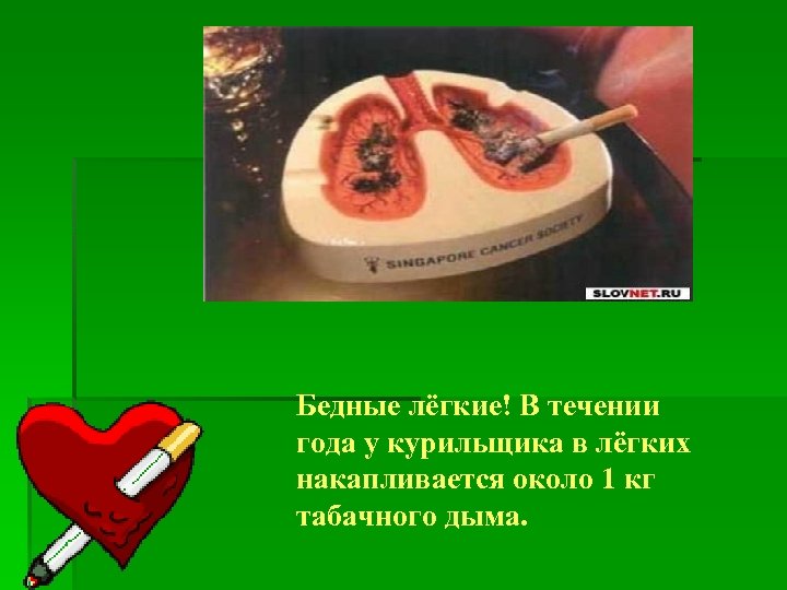 Бедные лёгкие! В течении года у курильщика в лёгких накапливается около 1 кг табачного