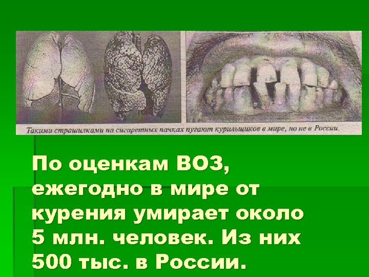 По оценкам ВОЗ, ежегодно в мире от курения умирает около 5 млн. человек. Из