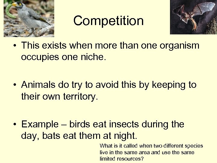 Competition • This exists when more than one organism occupies one niche. • Animals