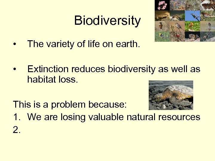 Biodiversity • The variety of life on earth. • Extinction reduces biodiversity as well