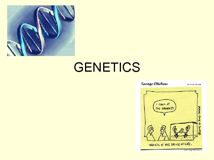 GENETICS 