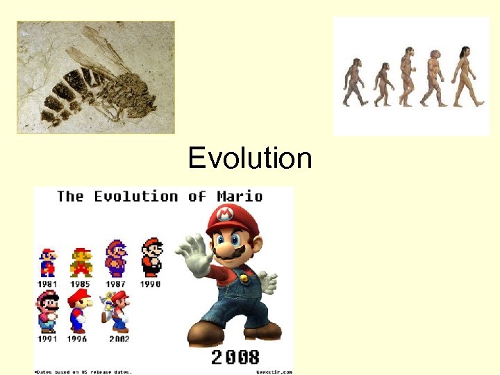 Evolution 