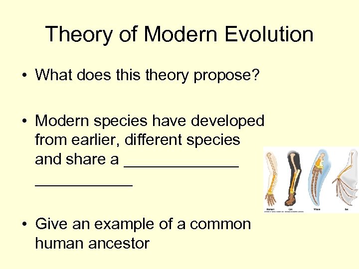 Theory of Modern Evolution • What does this theory propose? • Modern species have