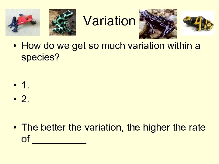 Variation • How do we get so much variation within a species? • 1.