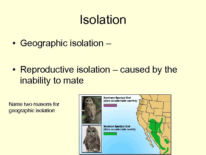 Isolation • Geographic isolation – • Reproductive isolation – caused by the inability to