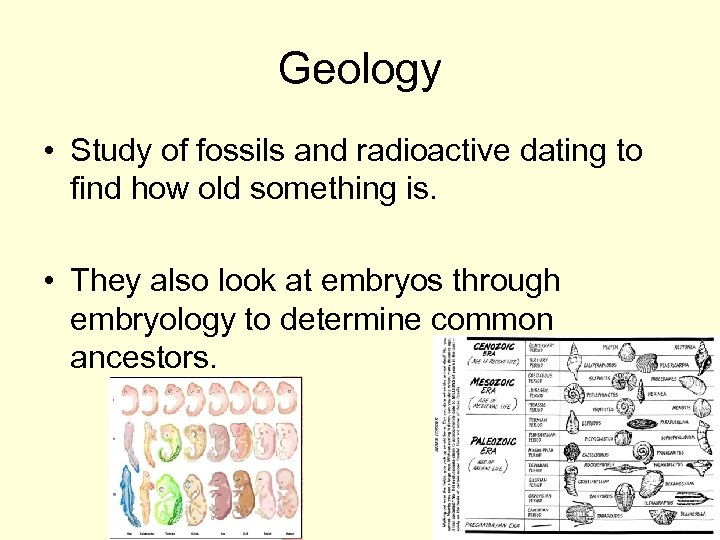 Geology • Study of fossils and radioactive dating to find how old something is.