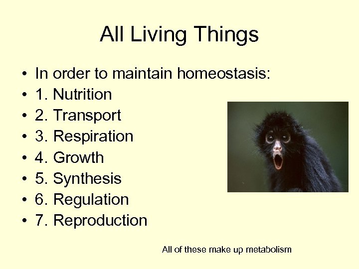 All Living Things • • In order to maintain homeostasis: 1. Nutrition 2. Transport