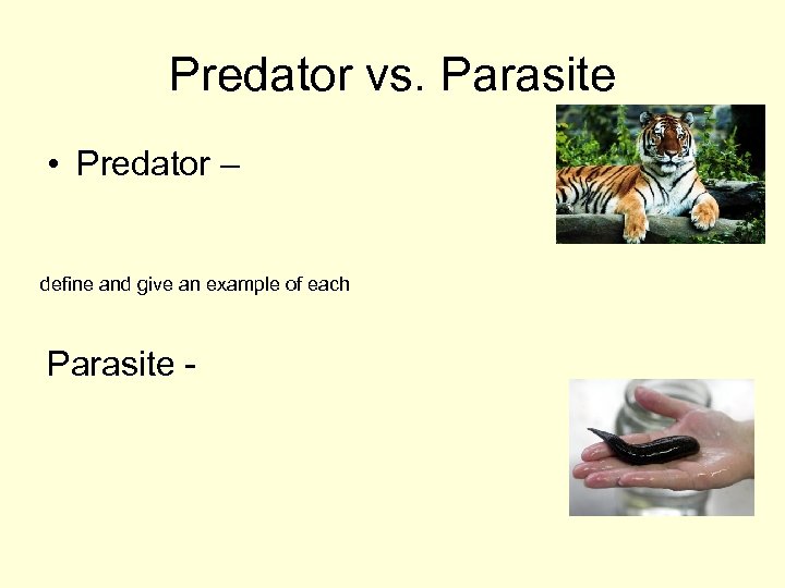 Predator vs. Parasite • Predator – define and give an example of each Parasite