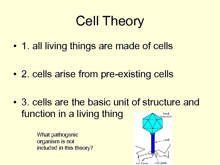 Cell Theory • 1. all living things are made of cells • 2. cells