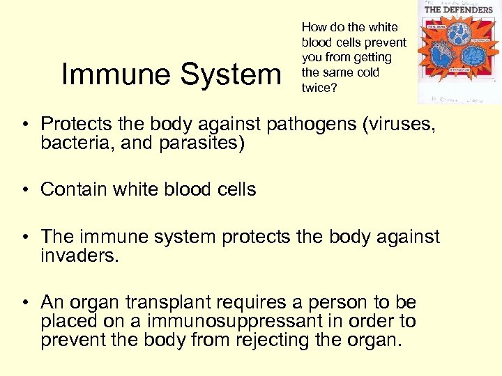 Immune System How do the white blood cells prevent you from getting the same