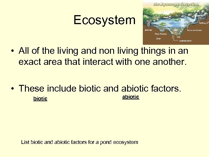 Ecosystem • All of the living and non living things in an exact area