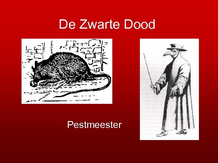 De Zwarte Dood Pestmeester 