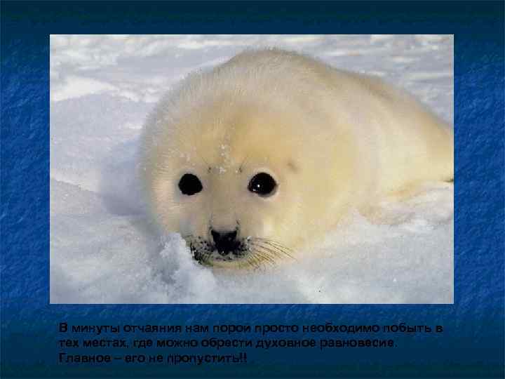 В минуты отчаяния нам порой просто необходимо побыть в тех местах, где можно обрести