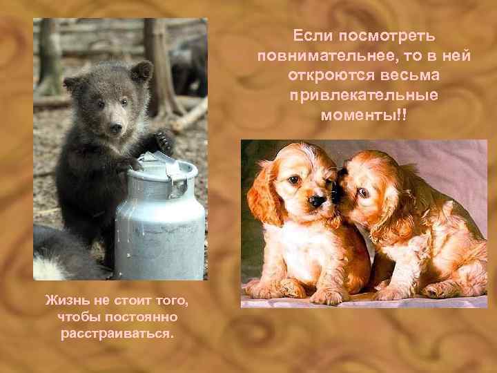 Если посмотреть повнимательнее, то в ней откроются весьма привлекательные моменты!! Жизнь не стоит того,