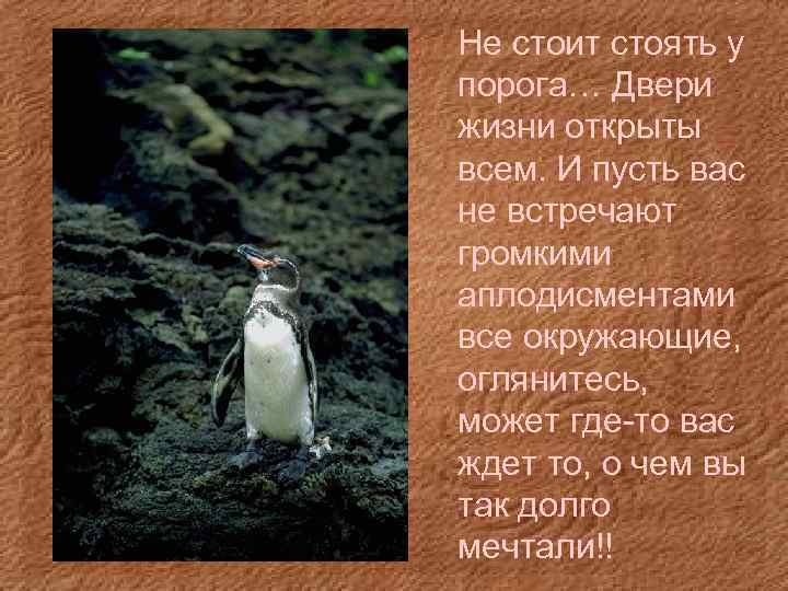 Не стоит стоять у порога… Двери жизни открыты всем. И пусть вас не встречают