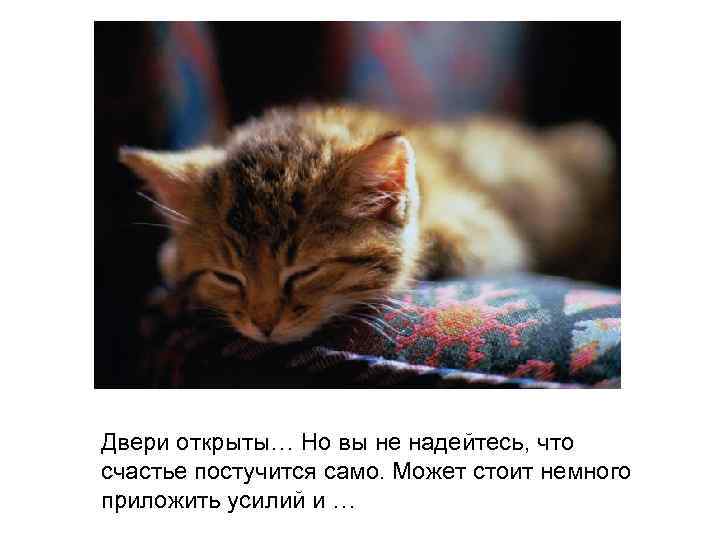 Двери открыты… Но вы не надейтесь, что счастье постучится само. Может стоит немного приложить