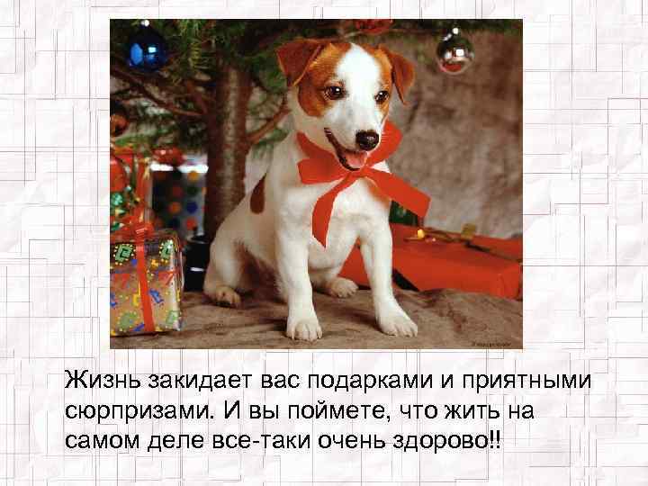 Жизнь закидает вас подарками и приятными сюрпризами. И вы поймете, что жить на самом