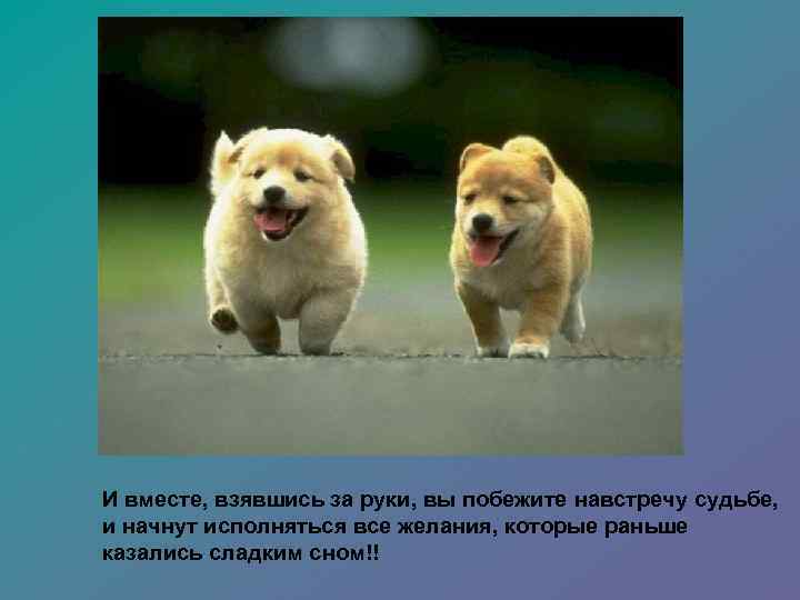 И вместе, взявшись за руки, вы побежите навстречу судьбе, и начнут исполняться все желания,