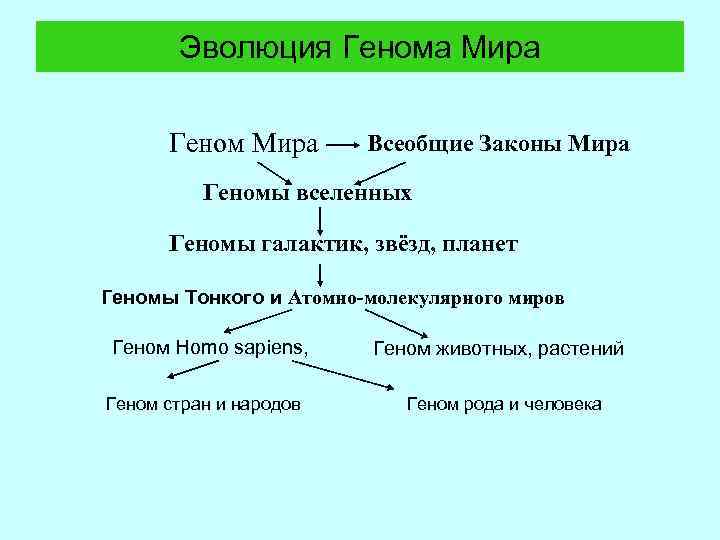 Эволюция Генома Мира Геном Мира Всеобщие Законы Мира Геномы вселенных Геномы галактик, звёзд, планет