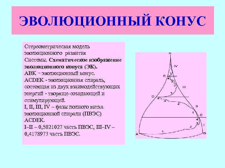 ЭВОЛЮЦИОННЫЙ КОНУС Стереометрическая модель эволюционного развития Системы. Схематическое изображение эволюционного конуса (ЭК). АВK -