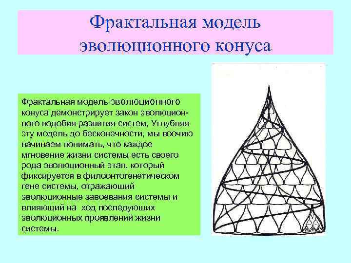 Фрактальная модель эволюционного конуса демонстрирует закон эволюционного подобия развития систем, Углубляя эту модель до