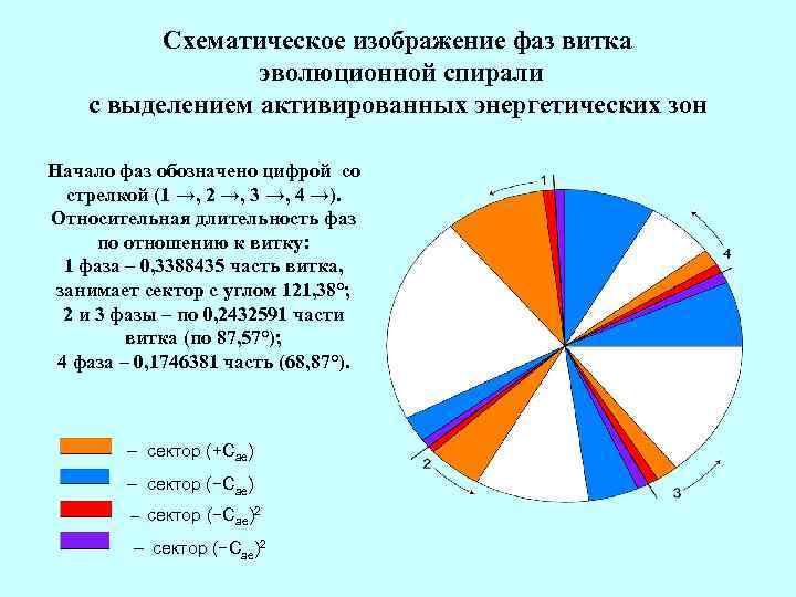 Схематическое изображение фаз витка эволюционной спирали с выделением активированных энергетических зон Начало фаз обозначено
