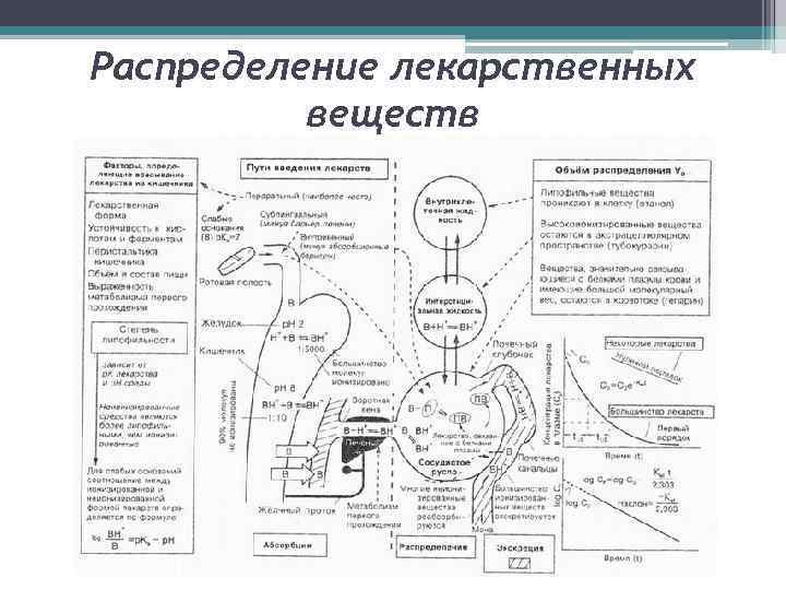 Распределение лекарственных средств в медицинском шкафу