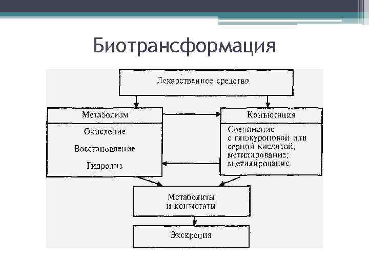 Биотрансформация 