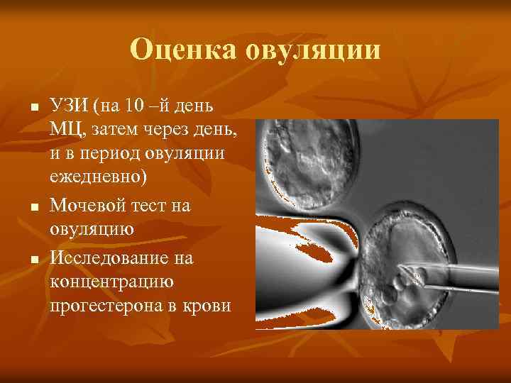 Оценка овуляции n n n УЗИ (на 10 –й день МЦ, затем через день,
