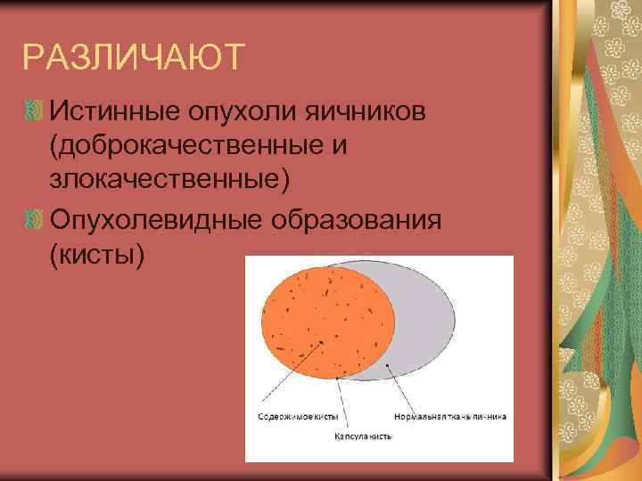 РАЗЛИЧАЮТ Истинные опухоли яичников (доброкачественные и злокачественные) Опухолевидные образования (кисты) 