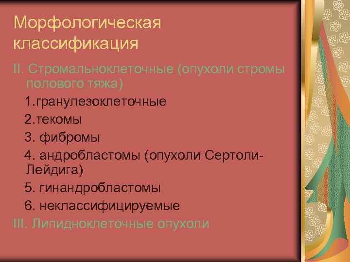 Морфологическая классификация II. Стромальноклеточные (опухоли стромы полового тяжа) 1. гранулезоклеточные 2. текомы 3. фибромы