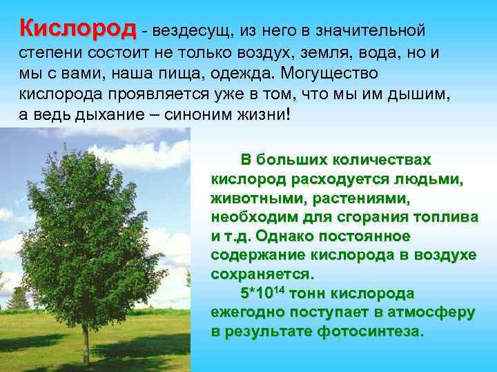 Кислород - вездесущ, из него в значительной степени состоит не только воздух, земля, вода,
