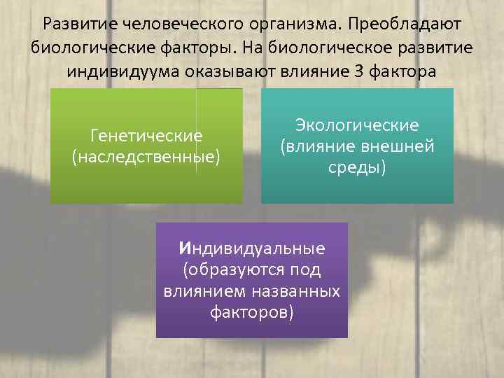 Развитие человеческого организма. Преобладают биологические факторы. На биологическое развитие индивидуума оказывают влияние 3 фактора