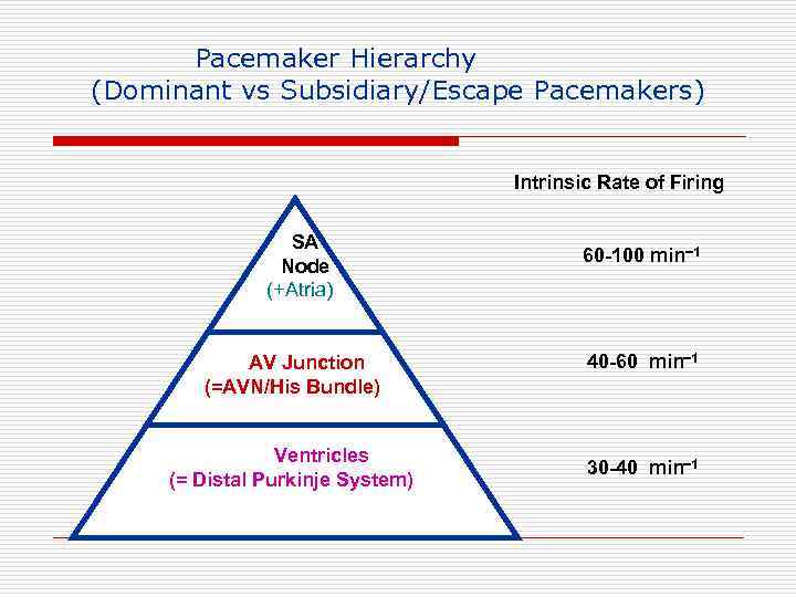 Pacemaker Hierarchy (Dominant vs Subsidiary/Escape Pacemakers) Intrinsic Rate of Firing SA Node (+Atria) AV