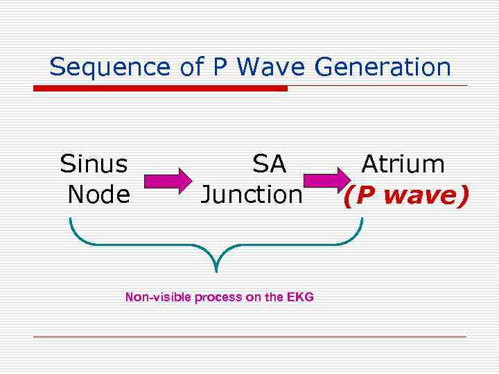 Sequence of P Wave Generation Sinus Node SA Junction Non-visible process on the EKG