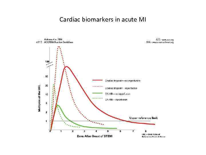 Cardiac biomarkers in acute MI 